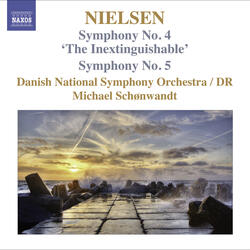 Symphony No. 5, Op. 50, FS 97, CNW 29, II. Allegro (Tempo I)