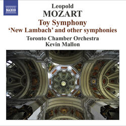 Symphony in D Major, Eisen D15, I. Allegro molto