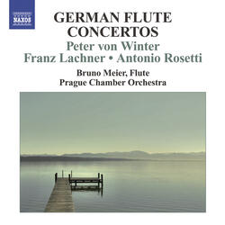 Flute Concerto in E-Flat Major, I. Allegro molto