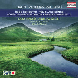 Fantasia on a Theme by Thomas Tallis, Fantasia on a Theme of Thomas Tallis