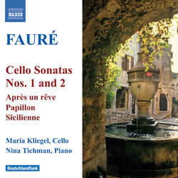 Cello Sonata No. 1 in D Minor, Op. 109, III. Finale: Allegro commodo