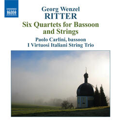 Bassoon Quartet in E-Flat Major, Op. 1, No. 4, I. Allegro