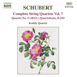 String Quartet No. 5 in B-Flat Major, D. 68, II. Allegro
