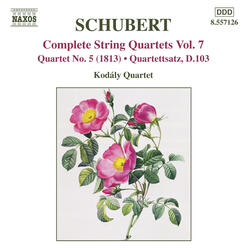 String Quartet No. 12 in C Minor, D. 703 "Quartettsatz", String Quartet in C Minor, D. 103, "Quartettsatz"