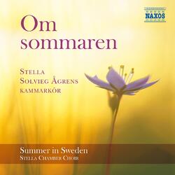 Post Festum (arr. B. Lundin), Post Festum