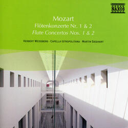 Andante in C Major, K. 315