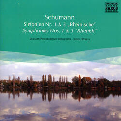 Symphony No. 3 in E-Flat Major, Op. 97 "Rhenish", III. Nicht schnell