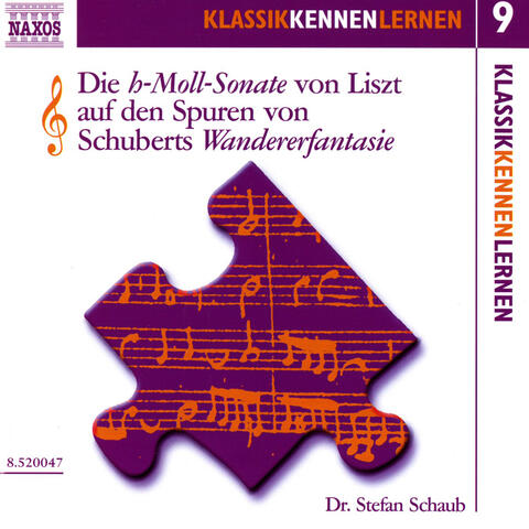 Klassik Kennen Lernen 9: Die H-Moll-Sonate Von Liszt Auf Den Spuren Von Schuberts Wandererfantasie