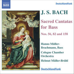 Cantata, BWV 82, Aria: Schlummert ein, ihr matten Augen (Bass)