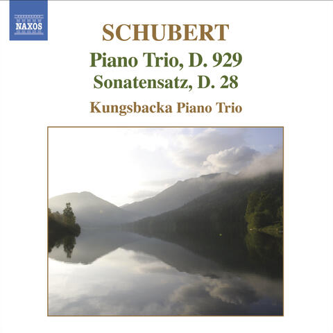 Schubert: Piano Trio No. 2 in E Flat Major - Sonatensatz