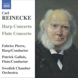 Flute Concerto in D Major, Op. 283, I. Allegro molto moderato