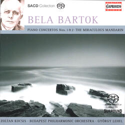 Piano Concerto No. 1, Sz. 83, II. Andante