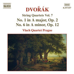 String Quartet No. 1 in A Major, Op. 2, B. 8, I. Andante - Allegro