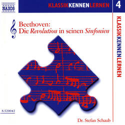 Beethoven: Die Revolution in seinen Sinfonien, Einleitung