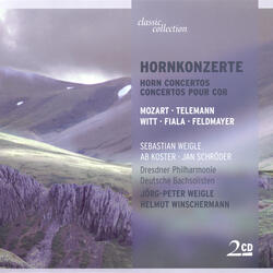 Horn Concerto No. 4 in E-Flat Major, K. 495, II. Romance: Andante cantabile