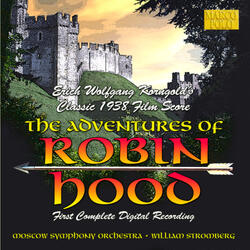 The Adventures of Robin Hood, Robin Hood Attacks Sir Guy's Party - The Attack