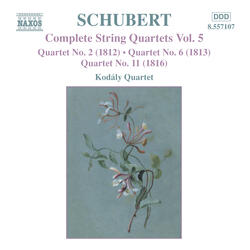 String Quartet No. 6 in D Major, D. 74, Allegro ma non troppo