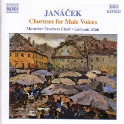 Láska Opravdivá, JW 4/8 (True Love), Laska Opravdiva (True Love), JW IV/8