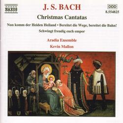 Bereitet die Wege, bereitet die Bahn, BWV 132, Recitativo: Willst du dich Gottes Kind