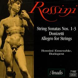 Sonata for Strings No. 1 in G Major, I. Moderato