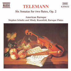 Sonates sans basse: Sonata No. 5 in B Minor, TWV 40:105, Vivace