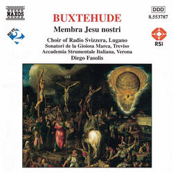 Membra Jesu nostri, BuxWV 75, IVd. Ad latus: Hora mortis meus flatus