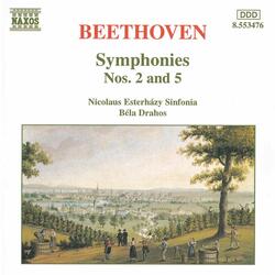Symphony No. 5 in C Minor, Op. 67, II. Andante con moto