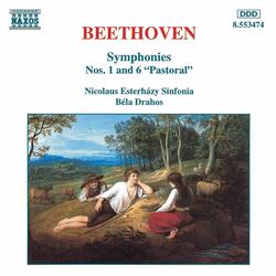 Symphony No. 1 in C Major, Op. 21, II. Andante cantabile con moto