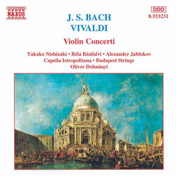 Violin Concerto in B-Flat Major, Op. 8, No. 10, RV 362, "La caccia", II. Adagio (Grave)