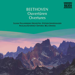 Fidelio, Op. 72, Fidelio, Op. 72: Overture