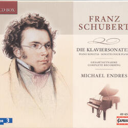 Piano Sonata No. 19 in C Minor, D. 958, III. Menuetto: Allegro