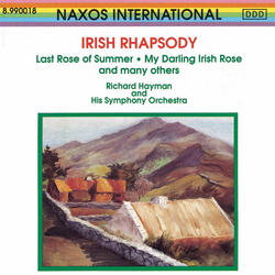 Irish Suite, II. The Minstrel Boy