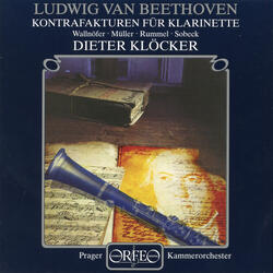 Meditation (after L. van Beethoven's Piano Sonata No. 14 in C-Sharp Minor, Op. 27, No. 2, "Moonlight")
