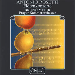 Flute Concerto in G Major, C22, II. Largo