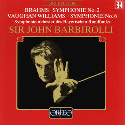 Symphony No. 2 in D Major, Op. 73, III. Allegretto grazioso - Quasi andantino