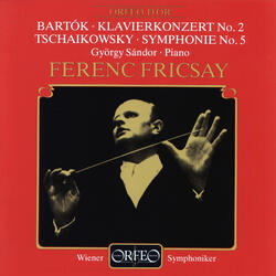 Symphony No. 5 in E Minor, Op. 64, TH 29, I. Andante - Allegro con anima