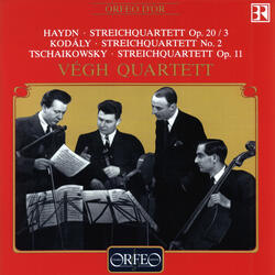String Quartet No. 1 in D Major, Op. 11, TH 111, IV. Finale: Allegro giusto