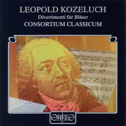 Symphony in D Major, II. Romance