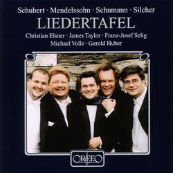 Der Gondelfahrer, Op. 28, D. 809