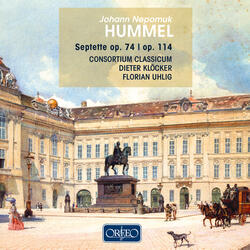 Septet No. 1 in D Minor, Op. 74, IV. Finale: Vivace