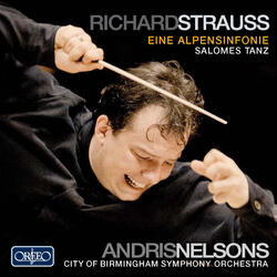 Eine Alpensinfonie, Op. 64, TrV 233, Ausklang (Final Sounds) -