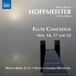 Flute Concerto No. 17 in D Major, III. Rondo: Allegretto