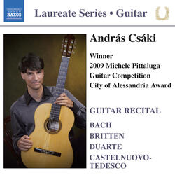 Guitar Sonata in D Major, Op. 77, "Omaggio a Boccherini", II. Andantino, quasi canzone