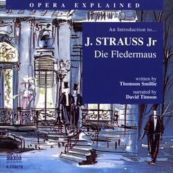 Die Fledermaus, Introduction to Die Fledermaus