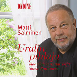2 Kitaraa (2 Guitars) (arr. R. Niemi and V. Laine), 2 Kitaraa (2 Guitars)