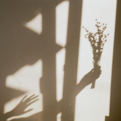 Shadow