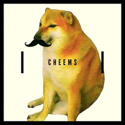Cheems