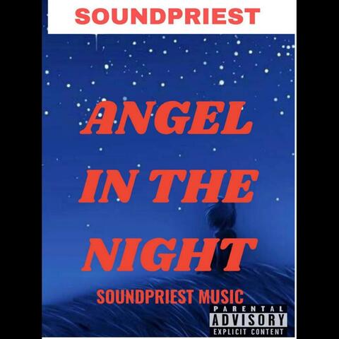 Angel in the Night