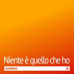 Niente è quello che ho