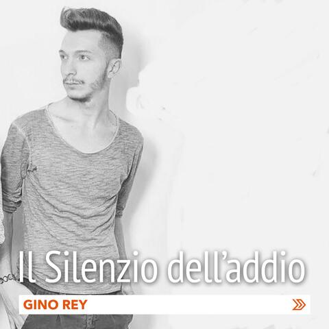 Il Silenzio dell'addio